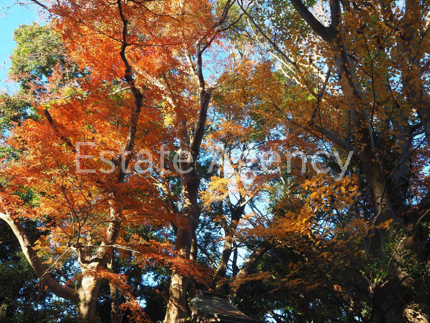 1788321979_blog_image_3.jpeg