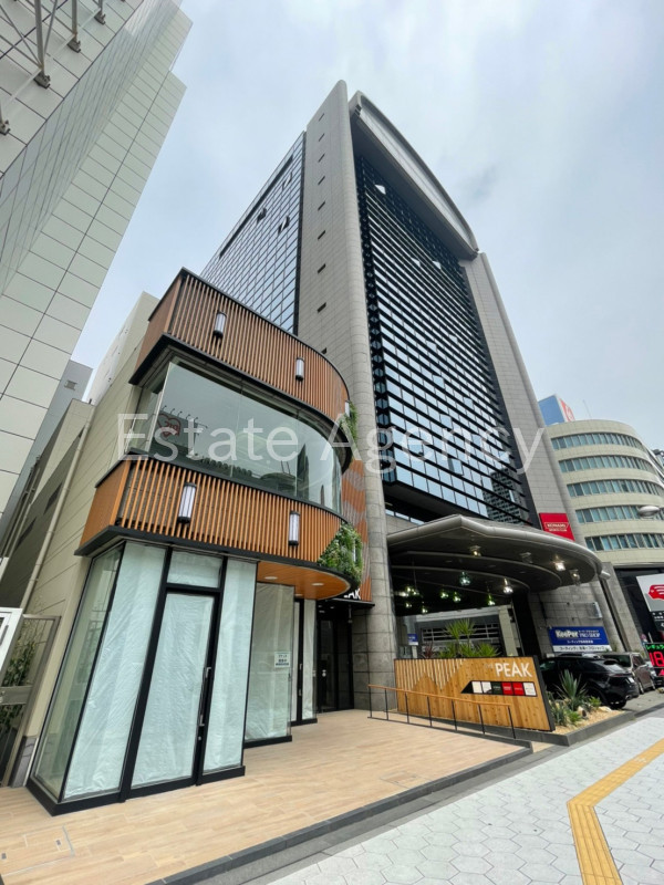 ＴＨＥ　ＰＥＡＫ　ＳＨＩＮＳＡＩＢＡＳＨＩ 外観