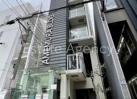 ＡＭＥＭＵＲＡ．ＢＬＤＧ 外観
