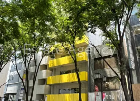 第２７ＳＹ 外観