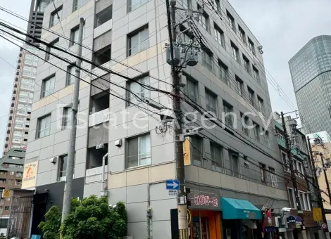 日宝リバー 外観