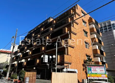 ライオンズマンション平河町 外観
