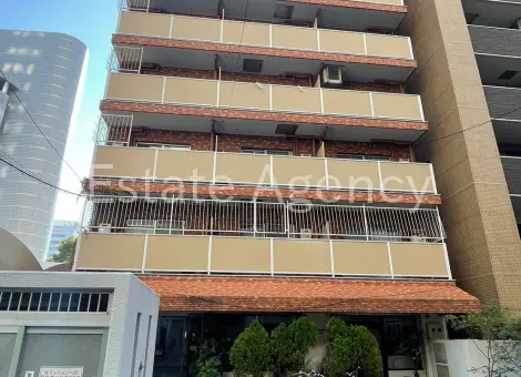ライオンズマンション中之島 外観
