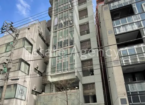 ＴＲＵＳＴＶＡＬＵＥ麹町 外観