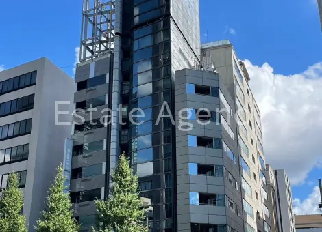 ワイ・エヌ銀座 外観