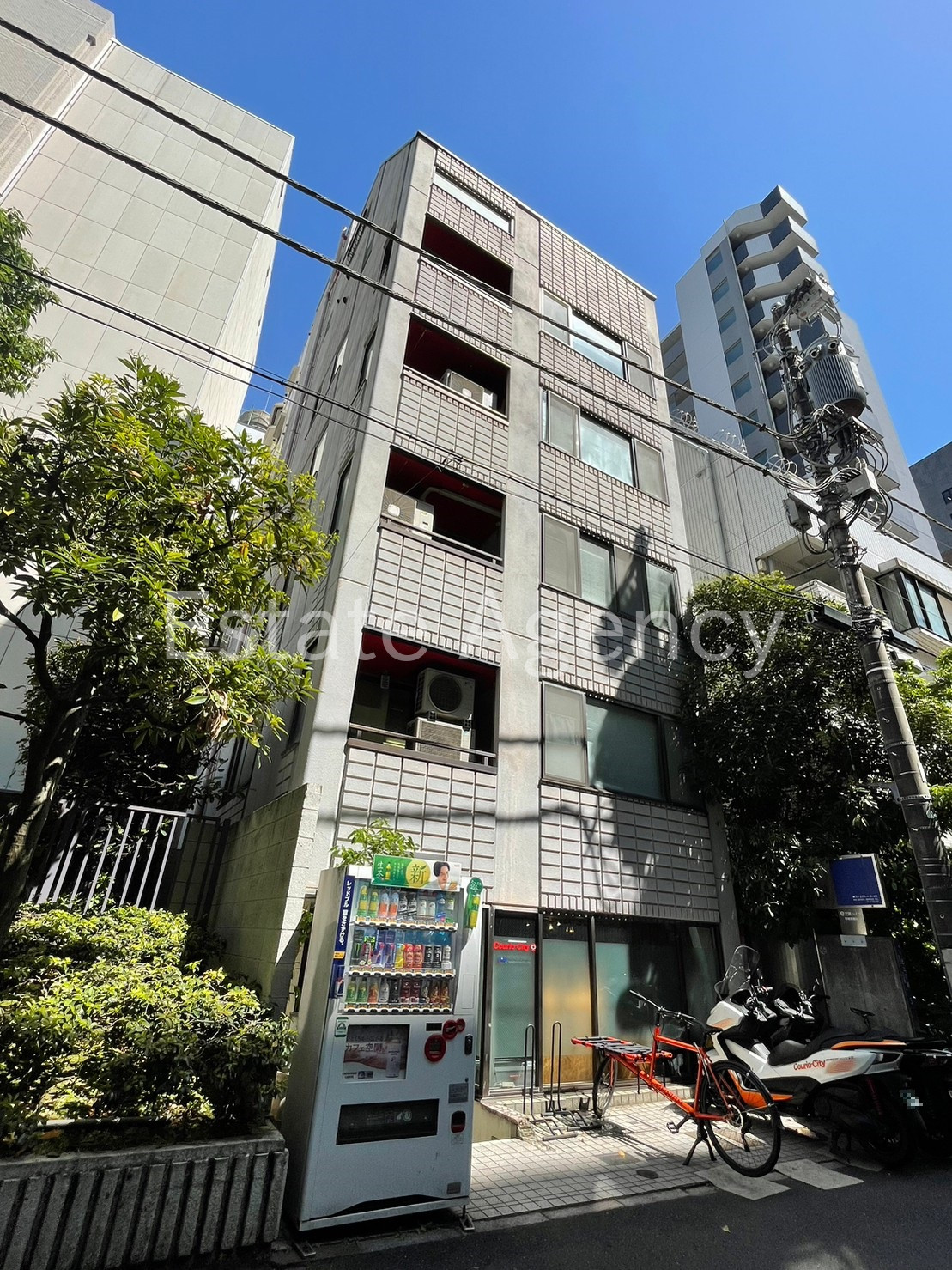 内村芝 外観