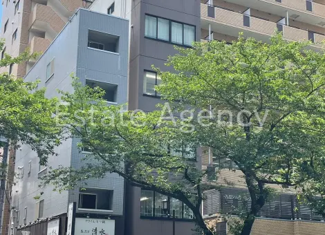 九段ＹＭ　ＢＬＤＧ. 外観