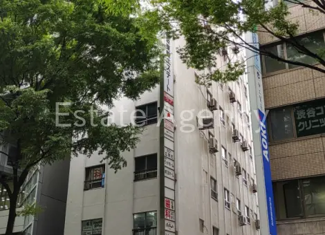 東豊エステート 外観