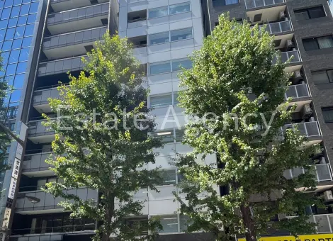 カクトビル宝町 外観