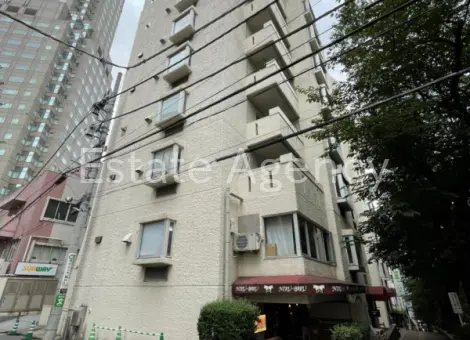 新南平台マンション 外観