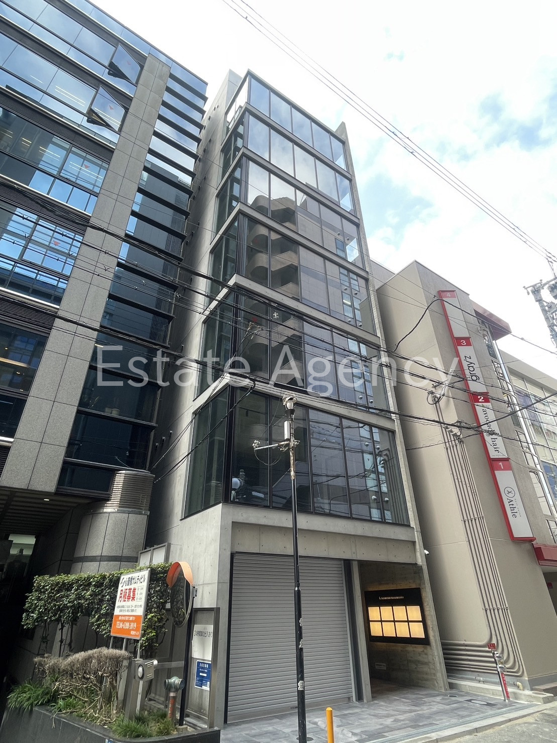 ｂ．ＮＩＳＨＩＳＨＩＮＳＡＩＢＡＳＨＩ 外観