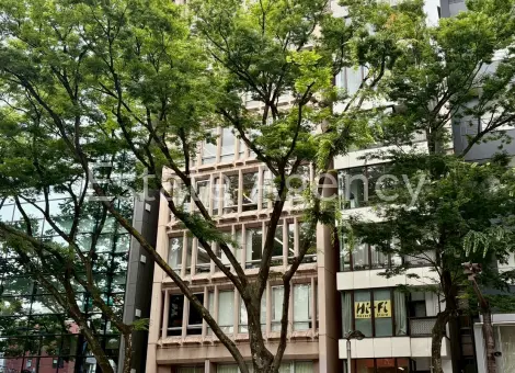 コマツローリエ 外観