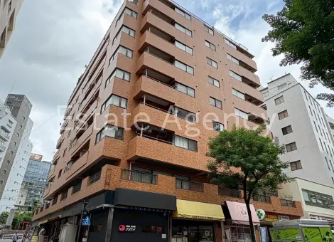 桔梗ライオンズマンション平河町 外観