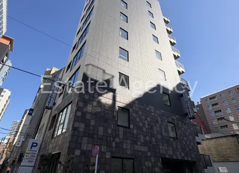 プラザ銀座新富 外観