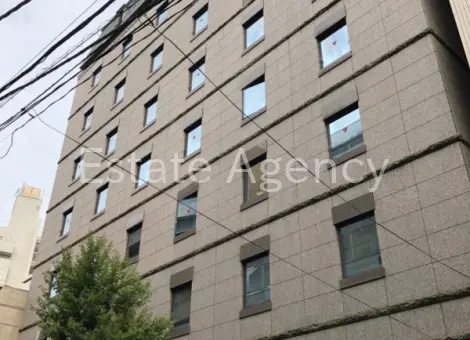 メトロシティ半蔵門 外観