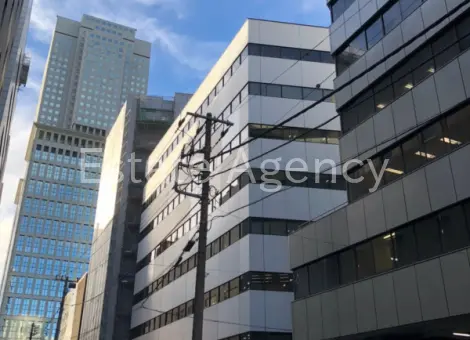 ニッセイ永田町 外観