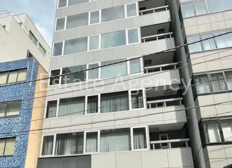 ＴＳＵＫＩＪＩ　ＥＡＳＴ　ＳＱＵＡＲＥ 外観