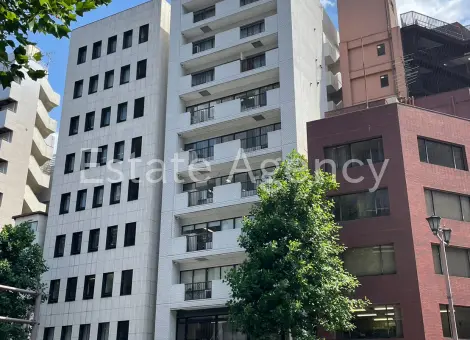 麹町１丁目３番地 外観