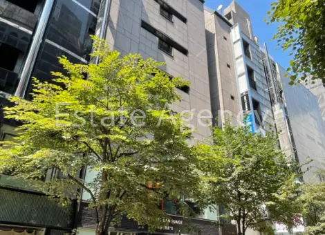 銀座マジソン 外観